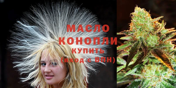 хмурый Дмитриев