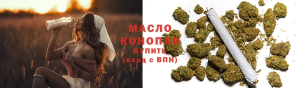 хмурый Дмитриев