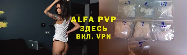 хмурый Дмитриев