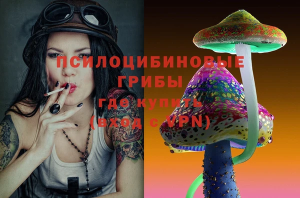 хмурый Дмитриев
