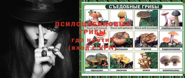 хмурый Дмитриев