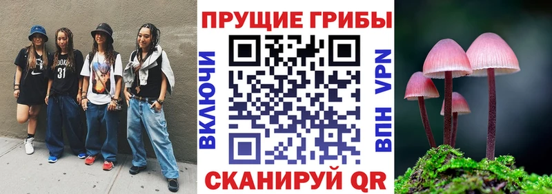 Купить закладки  Балабаново  Псилоцибиновые грибы Psilocybine cubensis 